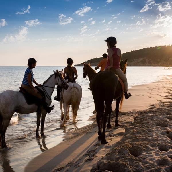 Excursiones a caballo